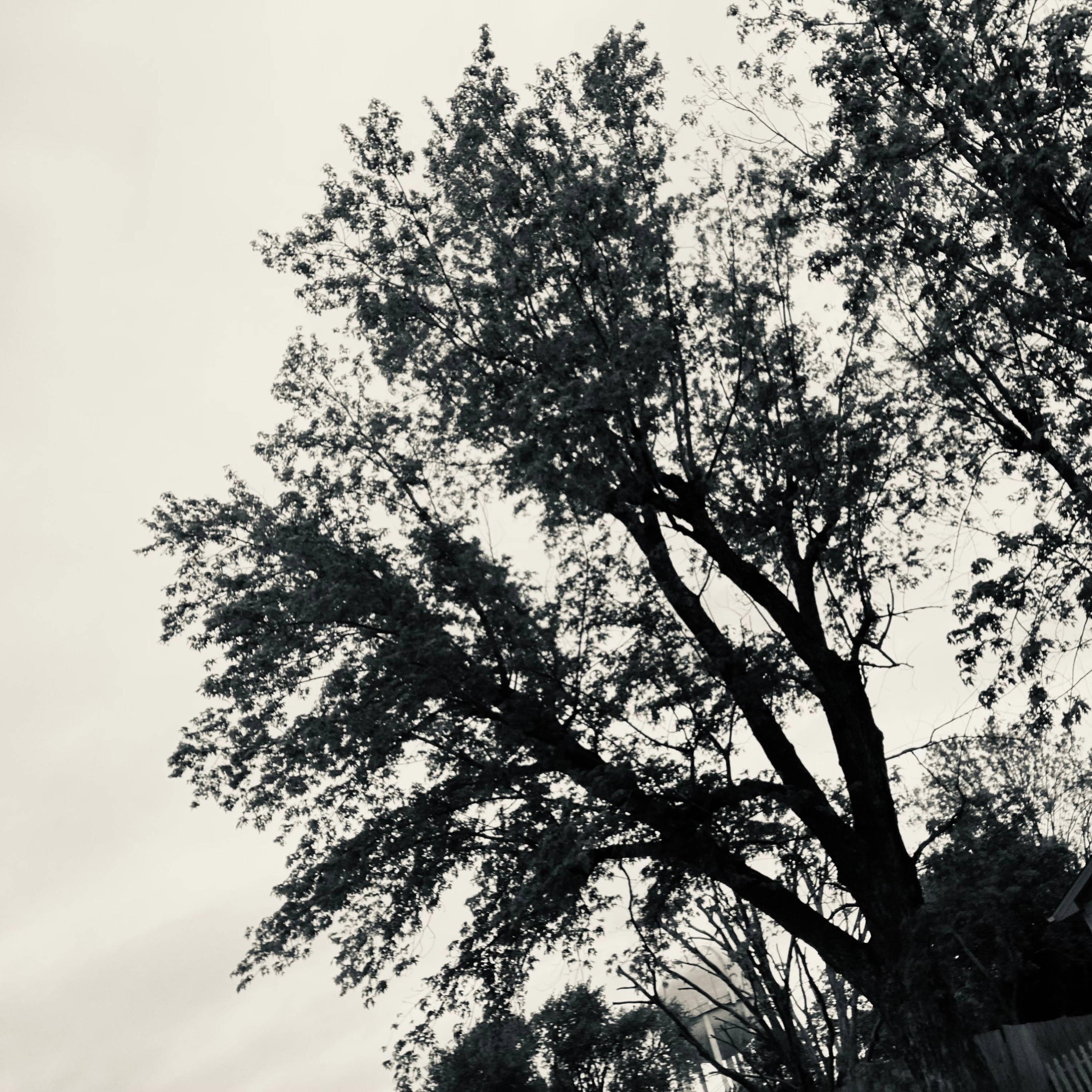 LINNER GEN 22 - LA MUEVE LI NU TA DA SO BADJON