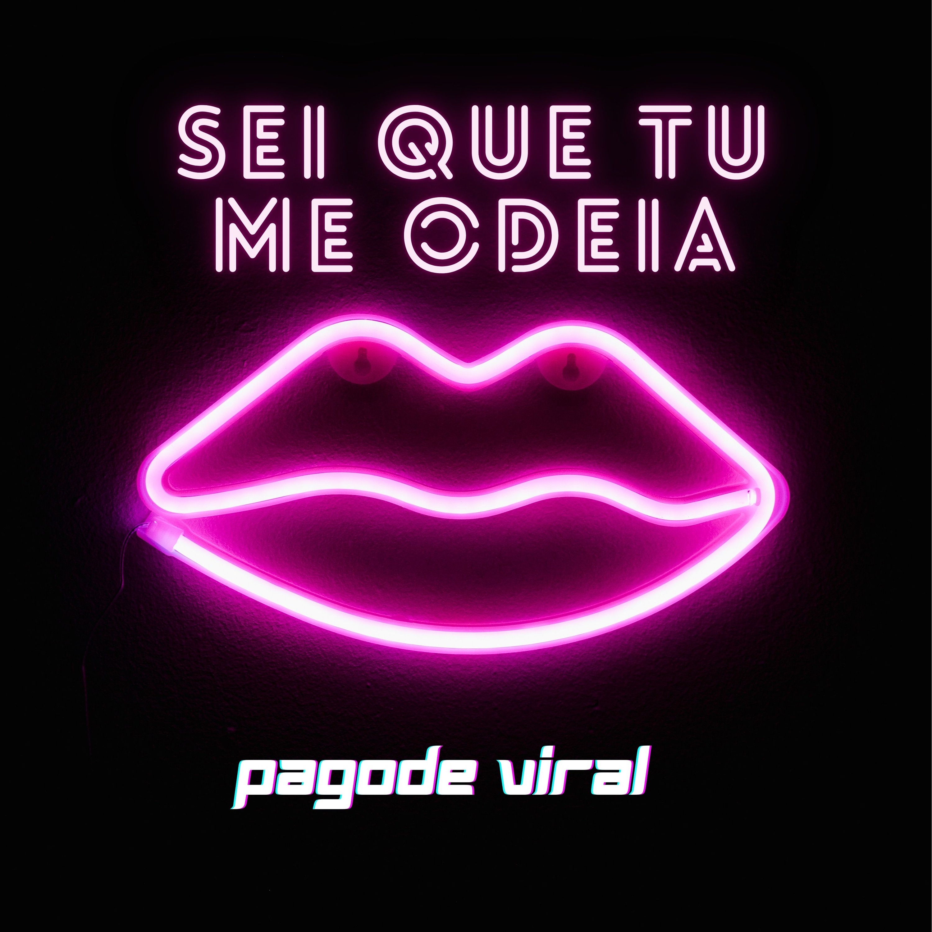 Anitta Sei Que Tu Me Odeia Mc Danny HITMAKER