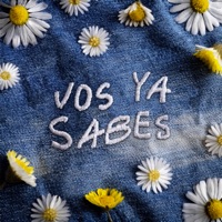 Vos ya sabes - Single - Margarita