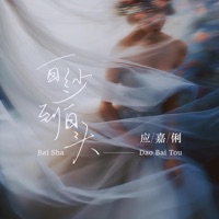 白纱到白头 - Single - 应嘉俐