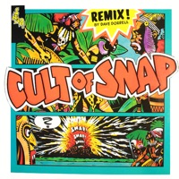 Cult of SNAP! (Remix) - Single - Snap!