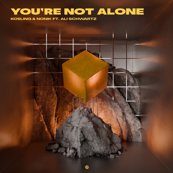 You're Not Alone (feat. Ali Schwartz) - Single