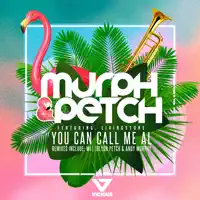 You Can Call Me Al (feat. Livingstone) — Murph & Petch, Andy Murphy & Jolyon Petch