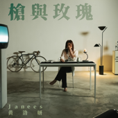 槍與玫瑰