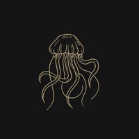 Jellyfish - Single - Slowly Slowly