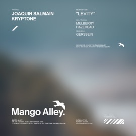 Levity (Gerssein Remix) Joaquín Salmain, Kryptone & Gerssein