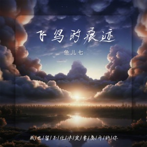 飞鸟的痕迹 - Single