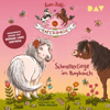 Schmetterlinge im Ponybauch: Die Haferhorde 4 - Suza Kolb