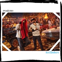 realone (feat. 1ceClimbers) - Single - 301Luv & Zone7