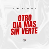 Otro Día Más Sin Verte artwork