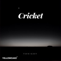 Tonight - Single - Cricket