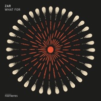 What for - EP - Zar