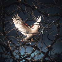 ЭКСТАЗ - Single - asanrap & psyDZen