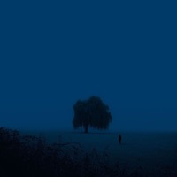 dark night - Single - fØlkrite & shizocxz