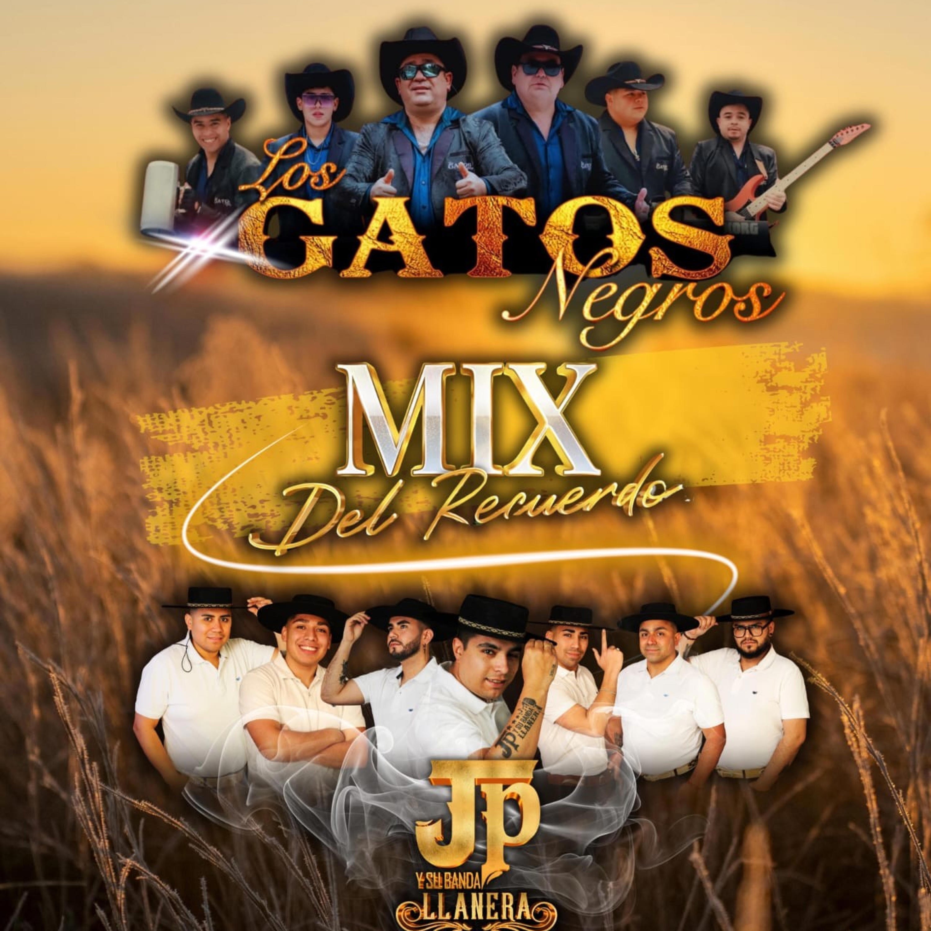 Mix del Recuerdo - Single