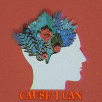 Cause I Can - Single - Arsee