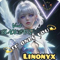 IT'S ONLY YOU (feat. Blackbird) - Single - LinOnyx