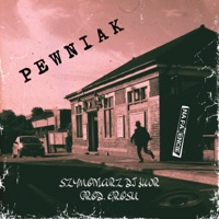 Pewniak (feat. Szymoniarz, DJ HWR & Grosu) - Single - Na Patencie