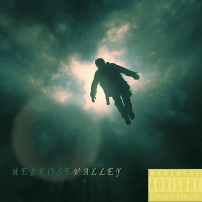 Melrose Valley (feat. Polo B) - Single