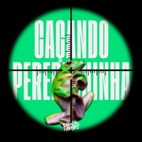 Caçando Pererequinha - Single - DJ Guina, Mc Jhey & Mc Luizinho