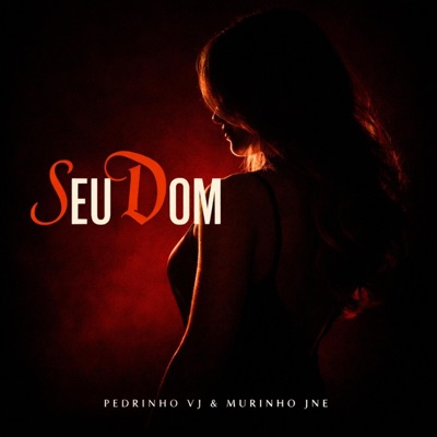 Seu Dom - Single