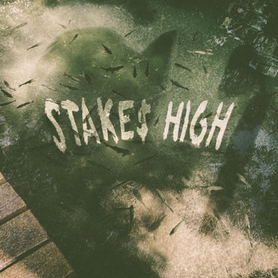 Stake$ High - Single