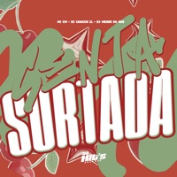 Senta Surtada - Single - DJ CAUAZIN ZL, MC GW & DJ MENOR DA 008