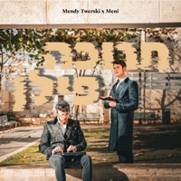 חנוכה פילן (feat. Mendy Twerski) - Single - meni