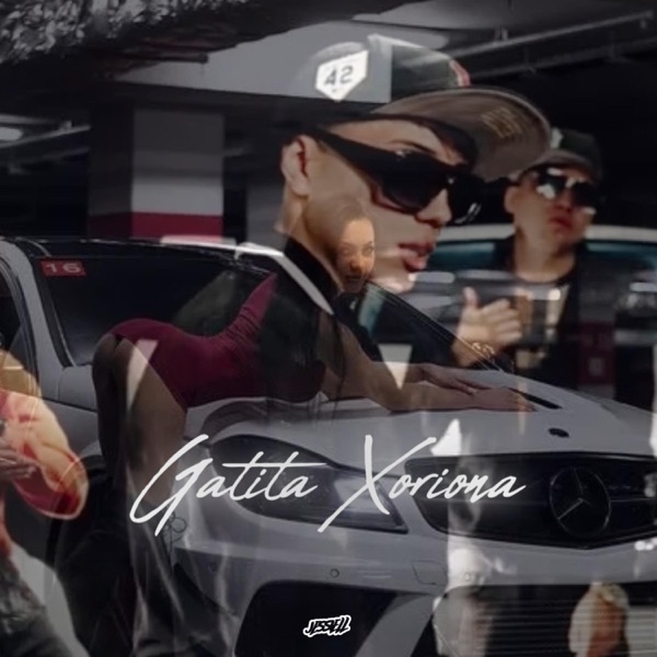 GATITA XORIONA