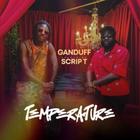 Temperature 10/10 (feat. Scrip T) - Single - Ganduff