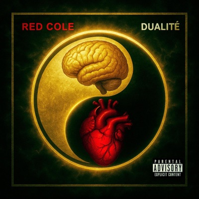 Dualité
