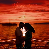 Ne Senin Adin? - Single - BARO