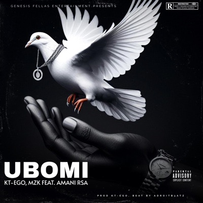 Ubomi (feat. Amani Rsa & MZK Lopez) - Single