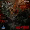 Rage Of Masses