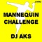 Mannequin Challenge (Instrumental) [Instrumental] - DJ AKS lyrics