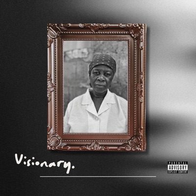 THE VISIONARY
