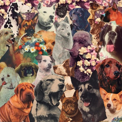 DOGSTOEVSKY (feat. Andrew & Jesse the Tree)