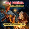 O Altar De Sacrifício Sem Ouro Nem Prata (Modão, Viola Evangélica)