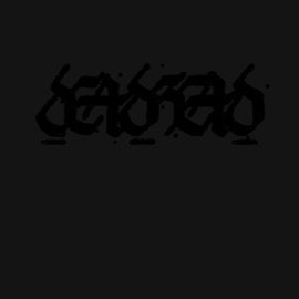 Perfect Picture Deadhead