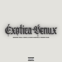 ExoticaVenux - Single - Bismark Vidal, Trueno Films & BiMo La Mano Maestra