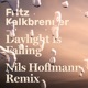 Daylight Is Falling Nils Hoffmann Remix Single