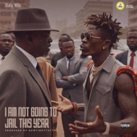 Iangtjty - Single - Shatta Wale