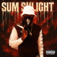 Sum Shlight - D3nnTh3Quinn