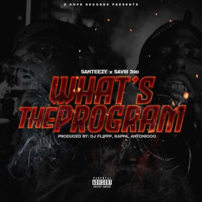 WHAT'S THE PROGRAM - Single