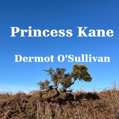 Princess Kane - Single