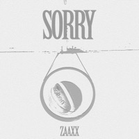 SORRY (feat. DistrictBeats) - Single - ZAAXX