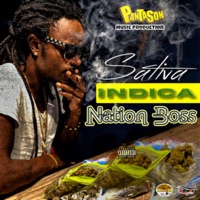 Sativa Indica - Single - Nation Boss & Panta Son