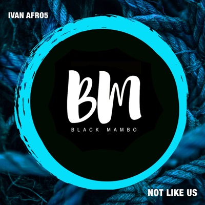 Not Like Us - Single