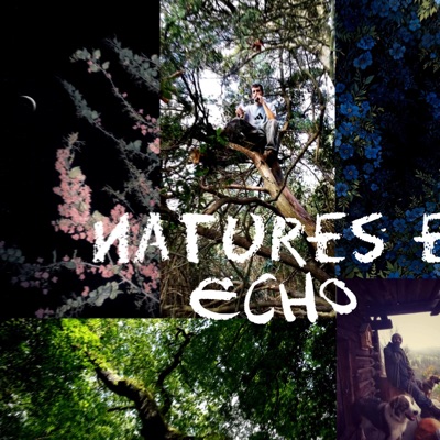 Natures Echo - Single