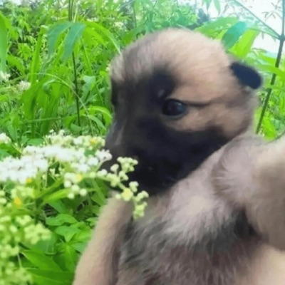 CANTSTANDYOU - Single